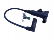 I02 inductive Delphi coil