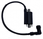 I03 China with NGK plug cap